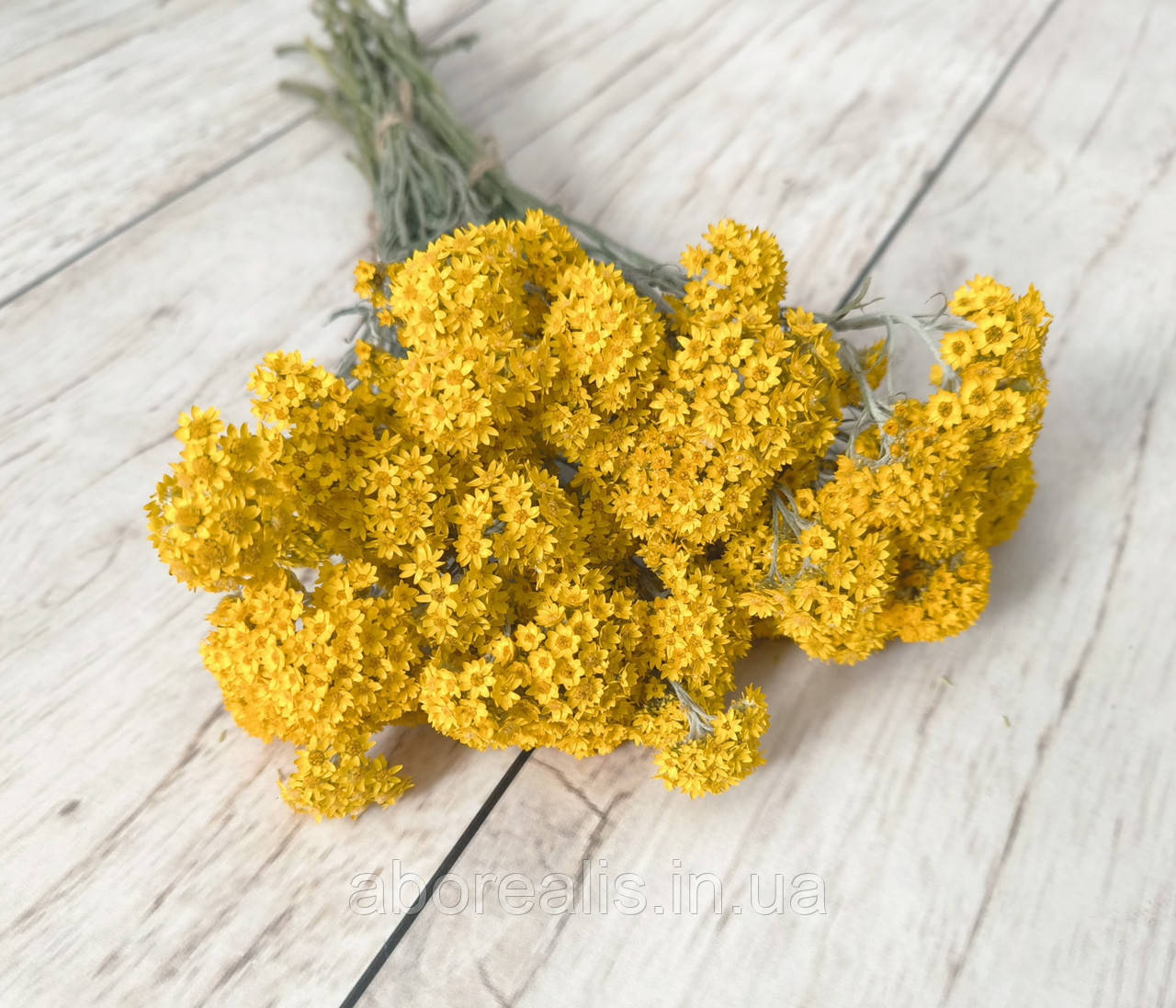 Сухоцвіт геліптерум Гумбольта. 15 шт, фото 1