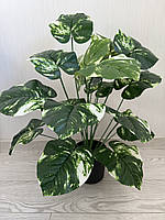 Штучна дифенбахія . Кущ декоративної дифенбахії ( 67 см , латекс ), фото 5