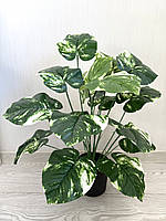 Штучна дифенбахія . Кущ декоративної дифенбахії ( 67 см , латекс ), фото 4
