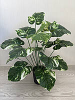 Штучна дифенбахія . Кущ декоративної дифенбахії ( 67 см , латекс ), фото 2