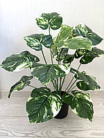 Штучна диффенбахія.Декоративна рослина ( 67 см )., фото 5
