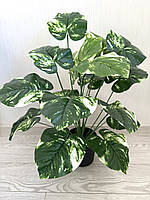 Штучна дифенбахія . Кущ декоративної дифенбахії ( 67 см , латекс ), фото 6