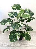 Штучна диффенбахія.Декоративна рослина ( 67 см )., фото 7