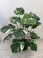 Штучна диффенбахія.Декоративна рослина ( 67 см )., фото 3