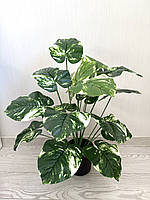 Штучна дифенбахія . Кущ декоративної дифенбахії ( 67 см , латекс ), фото 8