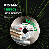 Диск DISTAR 125 Perfect 10115028015, фото 4