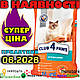 Клуб 4 лапи для стерилізованих кішок та кастрованих котів 14кг Club 4 Paws Sterilised - фото 1 - id-p2268789124