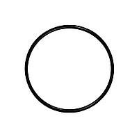 Ущільнювальне кільце AQUASTRONG 92.5*3.6 (OR-92536)