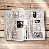 ЗНО Українська література Комплексне видання Частина 3 Авт: Ткачук Т. Вид: Богдан, фото 5