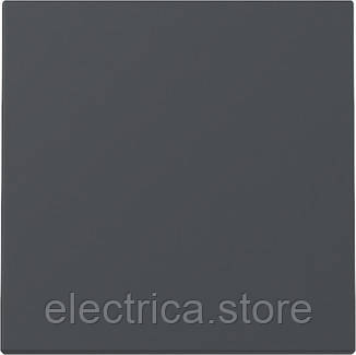 Клавіша одинарна System 55 антрацит Gira 329628, фото 1