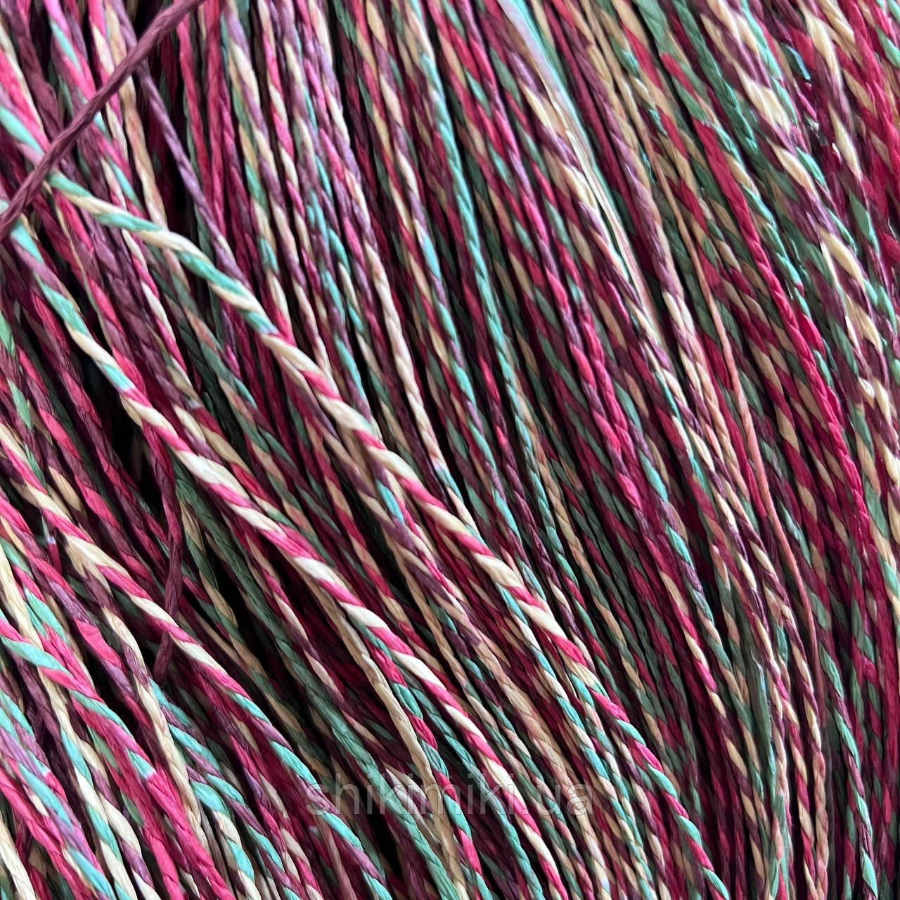 Пряжа Raffia кручена меланжева "Маракуя", фото 1