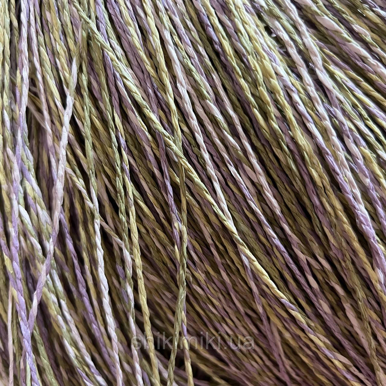 Пряжа Raffia кручена меланжева "Лйон", фото 1