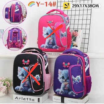 Рюкзак шкільний міський 38*29 см з пеналом та щільною спинкою принт Котик в різних варіантах Lju