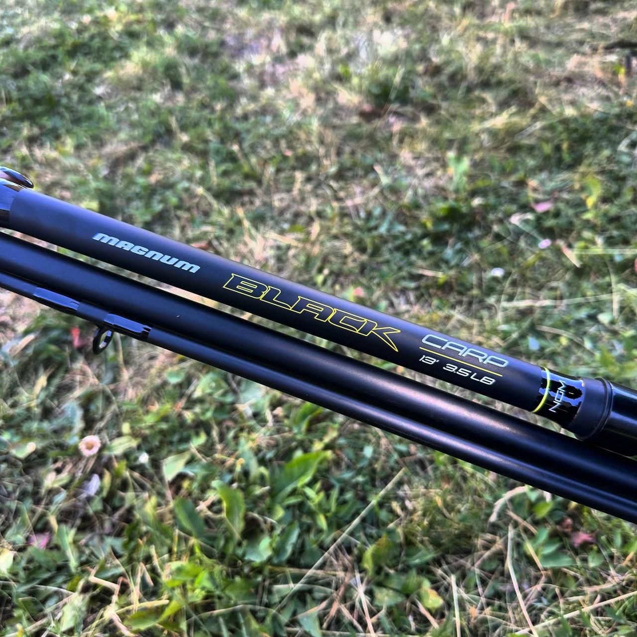 Коропове вудлище Flagman Magnum Black Carp NGM 3.6м 3.25lb із композиту, недороге, якісне, фото 1