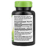 Холін 500 мг 100 таб для мозку нервової системи печінки Nature's Way USA, фото 2