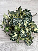 Декоративна рослина: Штучний Каладіум ( 52 см , латекс ), фото 8