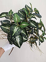 Штучний Сингоніум Преміум ( латекс , 52 см ), фото 4