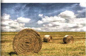 ДЕСТРУКТОРИ