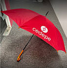 Брендування парасольок складаних і трощів, фото 8