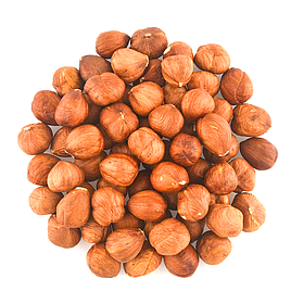 Фундук сирий