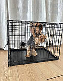 Вольєри та клітки для собак цуценят Клітка для перенесення собаки Металева переноска для тварин (47х31х38см), фото 3