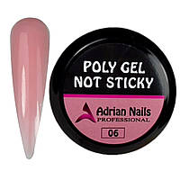 Poly Gel NOT STICKY 06 (Полі гель Без Липкого Шару) - 15грам