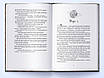 Книга Сталь та сонячний шторм. Редгрейн Лебовські, фото 3
