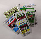 Набір обробки персика та нектарину на сезон, Syngenta