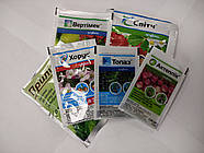 Набір обробки полуниці на сезон, Syngenta