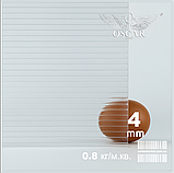 Стільниковий полікарбонат 2100Х6000Х8 mm OSCAR Premium прозорий Сербія, фото 2