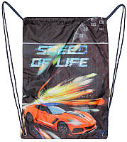 Сумка для взуття 46х33 см,поліестер Speed of Life,, 2438C, CLASS