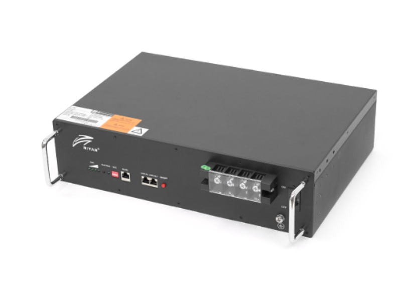 Акумуляторна батарея Ritar 19" LiFePO4 25,6В 100Аг 2560Вт·год BMS100@8S для монтажу в стійку (442 × 300 × 110), 23кг Q1, фото 1