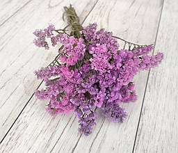 Сухоцвіт кермек (статиця) рожевий. 7-9 гілочок, висота 35-45 см
