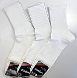 Шкарпетки-гетри серії TREN 23-25 р. (12 пар!) (Демісезонні/літні) Варос, фото 2