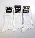 Шкарпетки-гетри серії TREN 23-25 р. (12 пар!) (Демісезонні/літні) Варос, фото 5