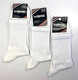 Шкарпетки-гетри серії TREN 23-25 р. (12 пар!) (Демісезонні/літні) Варос, фото 7