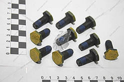 Болт кріплення маховика Ланос 1.6, Авео, Лачетті, Нубіра (94500811) (GM)