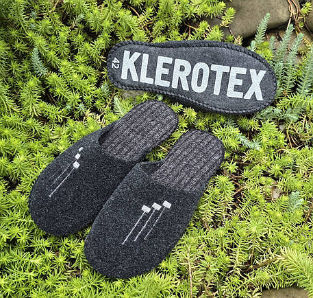 Чоловічі паркетні тапочки, фото 1