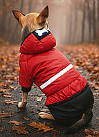 Комбінезон для собак демісезонний