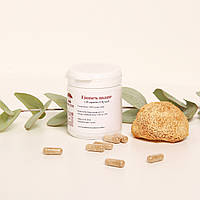 Львиная грива, Ежик гребенчатый, (Hericium erinaceus) капсулы 120 шт 0.5г