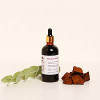 Настойка чаги (Inonotus obliquus) Двойная экстракция