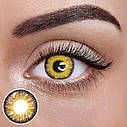 Карі Кольорові Контактні Лінзи Айс Голд  Лінзи для краси ( Нульовки ) | Натуральні-Природні | Для світлих - чорних очей, фото 2