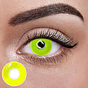 Жовті Кольорові Контактні Лінзи Елоу | Лінзи для краси ( Нульовки ) | Крейзі/Косплей/Хелловін| Для світлих – чорних очей, фото 2