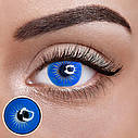 Сині-блакитні Кольорові Контактні Лінзи Блу Енжел | Лінзи для краси ( Нульовки ) | Натуральні-Природні | Для світлих - чорних очей, фото 2