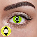 Жовті Кольорові Контактні Лінзи Кет Елоу | Лінзи для краси ( Нульовки ) | Крейзи/Косплей/Хэллоуин| Для светлых - черных глаз, фото 2