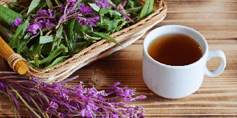 Іван-чай ферментований: цілющі властивості та користь для організму