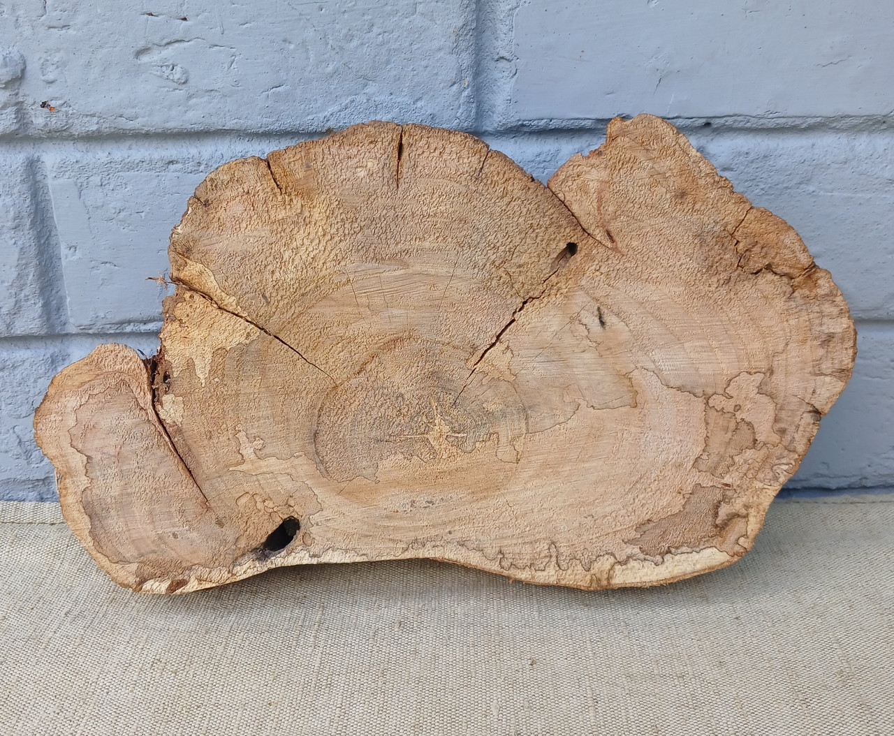 Дерев'яний зріз натурального дерева, заготовка для творчості, 290х180х40мм.