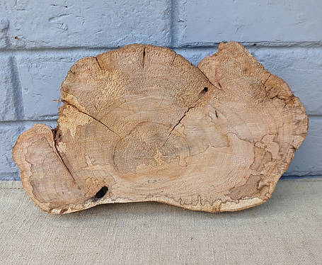 Дерев'яний зріз натурального дерева, заготовка для творчості, 290х180х40мм., фото 1