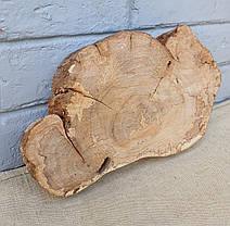 Дерев'яний зріз натурального дерева, заготовка для творчості, 290х180х40мм., фото 2