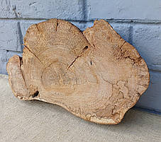 Дерев'яний зріз натурального дерева, заготовка для творчості, 290х180х40мм., фото 3